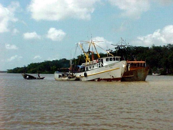 barcos de pesca fundeados