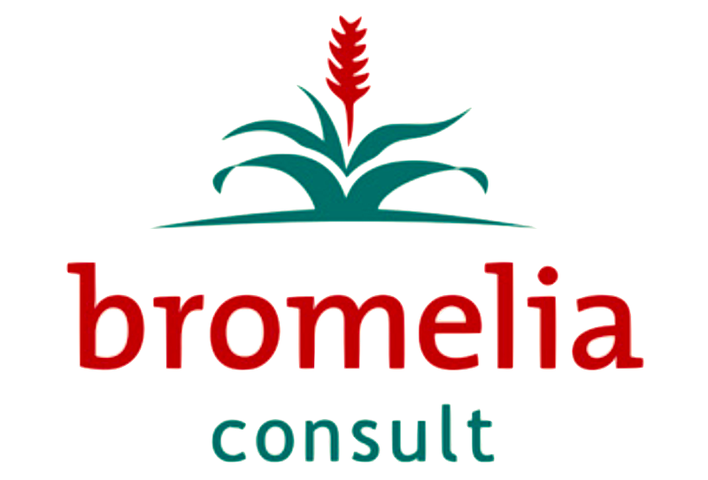 logo Bromelia consult web