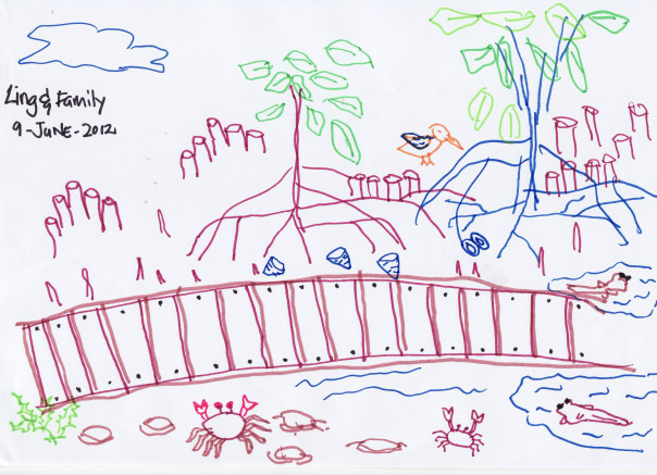 mangrove desenho crianca 1